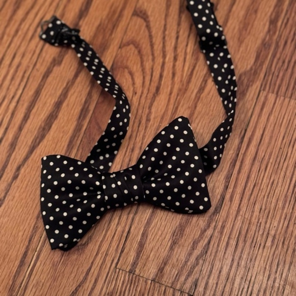 ☀️Dion Bow Tie - Picture 2 of 4